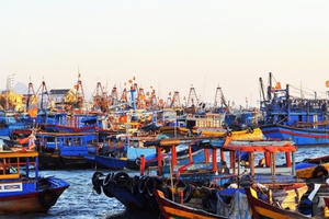 Thành lập Ban Quản lý cảng cá Thanh Hóa