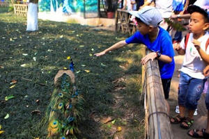 Vườn thú, công viên Hà Nội đông nghịt người trong ngày nghỉ lễ