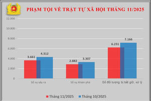 Toàn quốc xảy ra 3.661 vụ án về trật tự xã hội trong tháng 11/2025