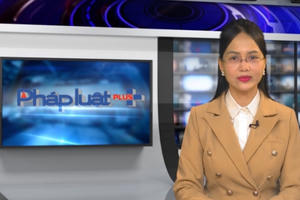 Xem nhanh cuối tuần: Nhiều trường đại học sẽ tăng học phí; Hơn 1 triệu sim điện thoại có nguy cơ bị thu hồi