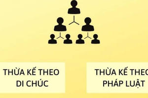 Người thừa kế và các hàng thừa kế theo quy định của pháp luật Người thừa kế và các hàng thừa kế theo quy định của pháp luật