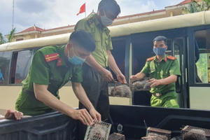 Giấu Dúi trên xe khách