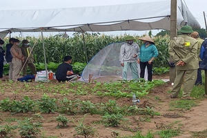 Hải Dương: Tìm thấy thi thể nữ giáo viên địu con trên lưng