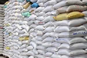 Hỗ trợ hàng nghìn tấn gạo cho người dân ở Lạng Sơn