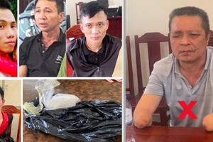 Triệt phá 2 đường dây mua bán, vận chuyển trái phép chất ma túy từ Lào vào Thanh Hóa