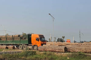 Nghệ An: Doanh nghiệp ngang nhiên sử dụng đất đấu giá để tập kết gỗ