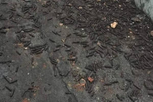 Đi nhặt đạn vụ nổ ở Bắc Ninh, một thanh niên bị đạn nổ rách đùi