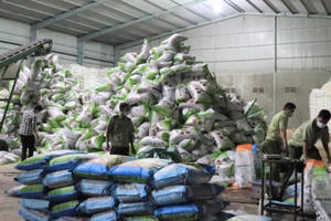 Đắk Lắk: Phát hiện kho phân bón dỏm, hết hạn và không nhãn mác