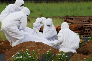 Vì sao virus Nipah xuất hiện ở Ấn Độ có thể nguy hiểm hơn SARS-CoV-2?