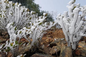 Không khí lạnh tăng cường, nhiều nơi tại Bắc Bộ rét đậm, rét hại, xuất hiện băng tuyết