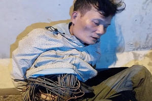 Hải Dương: Bắt giữ đối tượng cắt trộm dây đồng chống sét tại các cột đèn đường cao tốc