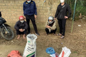 Lào Cai: Bắt quả tang hai vợ chồng mua bán, tàng trữ lượng lớn chất nổ