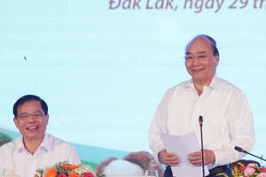 Mắc ca Việt Nam có thể ‘đi sau, về trước’ để đứng đầu