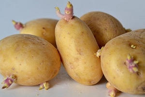 Những loại thực phẩm dù trót mua về cũng tuyệt đối 'cấm' sử dụng