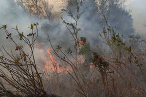Đám cháy ở Vườn Quốc gia Hoàng Liên lan rộng, huy động hơn 800 người dập lửa