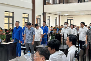 Phạt tù 14 bị cáo vụ xây kè chống sạt lở, gây thiệt hại hơn 12,6 tỷ đồng ở An Giang