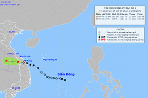 Bão số 6 suy yếu, nhiều tỉnh mưa lớn