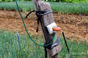 Hà Nội: Đi tìm gà bị mất, một người phụ nữ bị điện giật từ vong Hà Nội: Đi tìm gà bị mất, một người phụ nữ bị điện giật từ vong