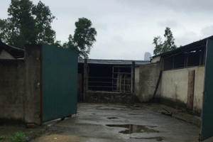 Hà Tĩnh: Mâu thuẫn khi đang mổ lợn, "mổ" luôn cả đồng nghiệp