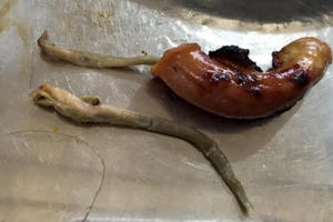 Vụ giun sán sót trong lòng lợn tại quán nướng chỉ là... giọt nước tràn ly?