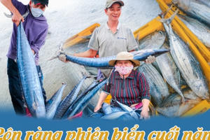 Rộn ràng phiên biển cuối năm