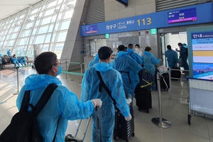 Đề xuất mở lại đường bay quốc tế thường lệ từ quý IV/2021