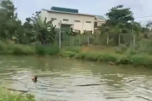 Theo nhóm bạn rủ nhau ra hồ chơi, hai cháu nhỏ ở Đắk Lắk đuối nước thương tâm