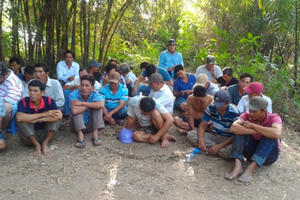 Tạm giữ 42 người tham gia đá gà ăn tiền