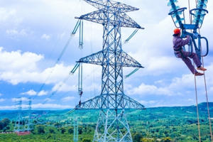 Thu tiền thuê đất của Hệ thống đường dây truyền tải điện