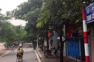 Ngày 19/8 tới đây, Hà Nội sẽ chính thức có thêm tuyến phố đi bộ Trịnh Công Sơn