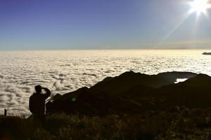 Mùa Xuân trên đỉnh Tà Chì Nhù