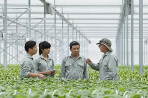 VinGroup liên kết với 1.000 HTX và hộ nông dân cung ứng nông sản sạch và an toàn