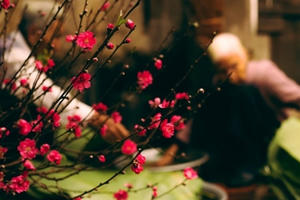 Vẫn nôn nao đợi chờ Tết