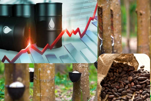 Thanh khoản mỏng, giá cao su đi ngang trong kỳ nghỉ Giáng sinh