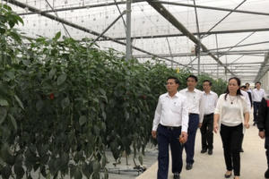 Hải Phòng: Cơ cấu lại ngành nông nghiệp giai đoạn 2021-2025 Hải Phòng: Cơ cấu lại ngành nông nghiệp giai đoạn 2021-2025