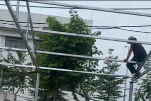 Cưỡng chế không cần ra quyết định có đúng luật?