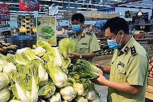 Triển khai công tác bảo đảm an toàn thực phẩm Tết Nguyên đán Giáp Thìn và mùa Lễ hội Xuân 2024 Triển khai công tác bảo đảm an toàn thực phẩm Tết Nguyên đán Giáp Thìn và mùa Lễ hội Xuân 2024