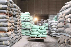 Xuất cấp không thu tiền 22 tấn hạt giống rau hỗ trợ tỉnh Quảng Trị và Thừa Thiên Huế