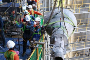 Bị hủy niêm yết ở HoSE, PXT thua lỗ 3 năm liên tục