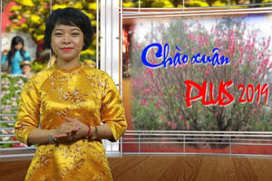 Chào xuân Plus 2019: Sôi động thị trường đào quất ngày giáp Tết Chào xuân Plus 2019: Sôi động thị trường đào quất ngày giáp Tết