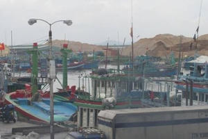 Bình Định: Công ty CP Tân Cảng Quy Nhơn bị 'tuýt còi' vì đổ đá, xà bần xuống biển