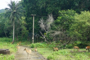 8 vườn quốc gia ấn tượng nhất ở Việt Nam mùa hè này