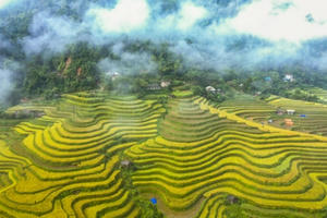 Du lịch Hà Giang phát triển nhờ phát huy vẻ đẹp của ruộng bậc thang