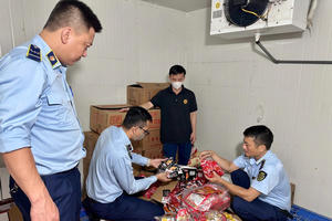 Thái Nguyên: Thu giữ hàng chục nghìn sản phẩm là thực phẩm nhập lậu Thái Nguyên: Thu giữ hàng chục nghìn sản phẩm là thực phẩm nhập lậu