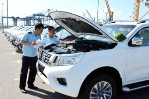 Chỉ 1 chiếc xe con được nhập về Việt Nam trong tuần nghỉ tết Mậu Tuất