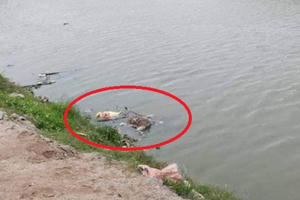 Vĩnh Phúc: Xác định danh tính thi thể biến dạng bí ẩn nổi trên sông