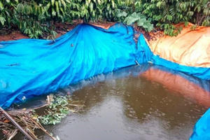 Lâm Đồng: Đuối nước khiến 2 cháu nhỏ tử vong thương tâm