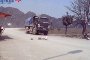 Sống khổ vì bụi, người dân dùng đá tảng chặn đoàn xe tải hung hãn