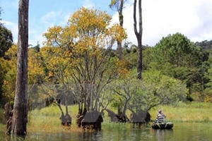 24 dự án ở khu du lịch quốc gia hồ Tuyền Lâm chậm tiến độ