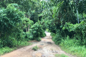 Nghi án con trai sát hại mẹ ruột, chém trọng thương chị gái tại TP HCM